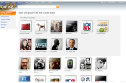 Bing's Visual Search Gallery