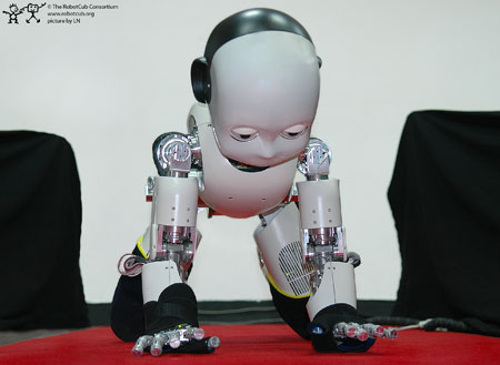 RobotCub Consortium's iCub